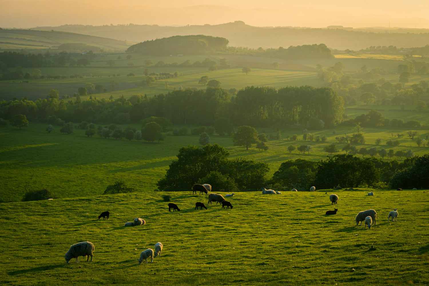 Derbyshire